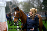 Pony Race 138cm