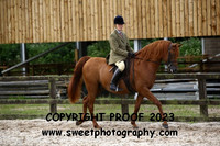 RIDDEN Pre-Novice