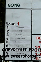 Pony Race 1