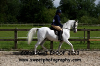 RIDDEN Novice Mares
