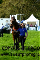 Race 3 PPORA