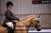 RIDDEN PBA Anglo exceeding 153cm