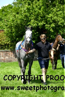 Race 1 Maiden 4/5 yrs old