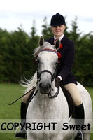 Ridden HOYS Geldings