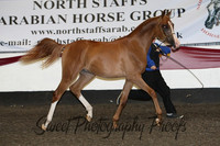 Ring 1 Sunday
