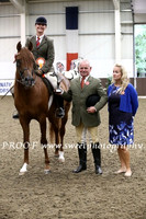 Friday HOYS Stallions