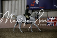 Day 1 HOYS Stallions