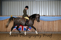 Ridden Stallions