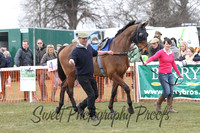 Race 4