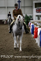 Friday HOYS Ridden Stallions