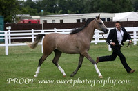 Friday Equi-Prestige In Hand Crabbet