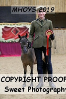 RING 1 Youth Handler