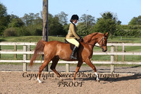 Pre Novice Ridden