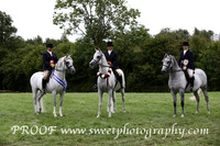 Championship Ridden Arab
