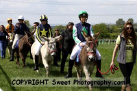 Donkey Derby