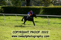 Pony Race 2