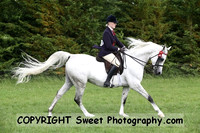 Ridden HOYS Championship