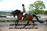 RIDDEN Novice Arab Mares