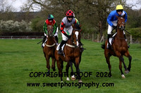 Race 6 Flat
