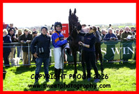 Race 1 Young Horse Maiden