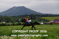 Pony Race 1