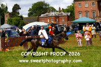 Pony Race 1
