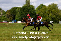 Pony Race 2