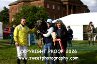 Race 6