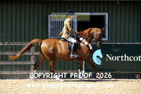 RIDDEN Novice Championship