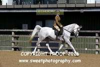 RIDDEN Novice Geldings