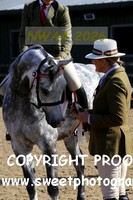 RIDDEN Pre Novice Ridden B