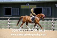 RIDDEN Open Mare