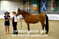 IN-HAND Darley and Young Handler