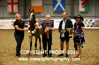 IN-HAND Yearlings