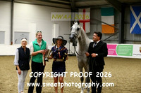 IN-HAND Geldings
