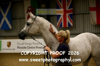 IN-HAND Mares