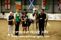 IN-HAND Sr Arabian Championship