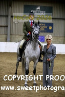 RIDDEN HOYS Geldings
