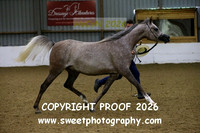IN-HAND ECAHO Mares