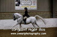 RIDDEN HOYS Stallion