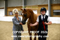 IN-HAND Darley & Young Handler