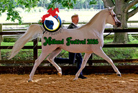 Midland Arab Group