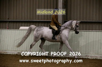 RIDDEN Novice Mares