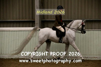 RIDDEN Open Stallion