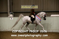 RIDDEN Open Championship Arabians
