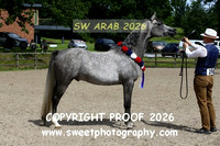 IN-HAND ECAHO Geldings Championship