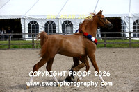 INHAND ECAHO Jr Male Championship