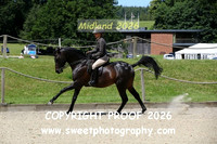 RIDDEN Anglo PBA