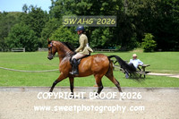 RIDDEN Novice Geldings