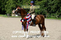 RIDDEN Supreme Championship